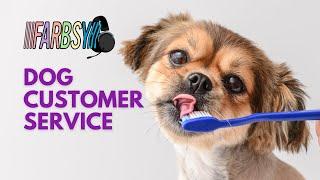 Dog Customer Service | Compilation