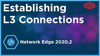 Establishing Layer 3 Connections on Equinix Network Edge 2020.2