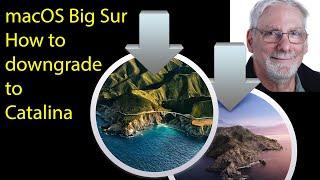 macOS Big Sur-How to Downgrade to Catalina