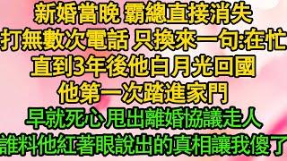 新婚當晚 霸總直接消失，打無數次電話 只換來一句：在忙，直到3年後他白月光回國，他第一次踏進家門，早就死心 甩出離婚協議走人，誰料他紅著眼說出的真相讓我傻了| 都市 | 愛情 | 婚姻