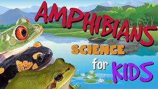 Amphibians | Science for Kids