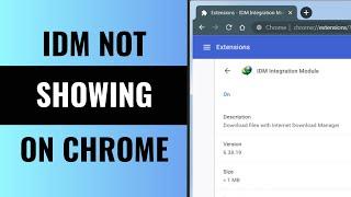 How to Fix IDM Not Showing on Chrome Extension