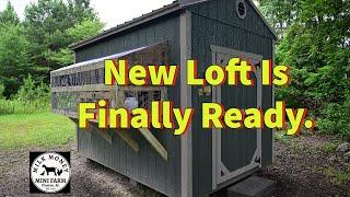 New Loft Update