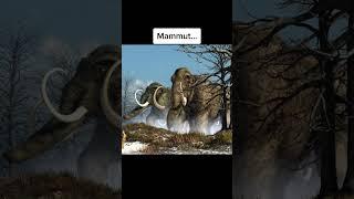 Mammut live gesichtet  #shorts