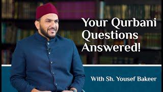 Understanding Qurbani: Q&A with Sh. Yousef Bakeer