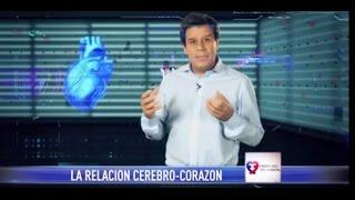 11 de octubre (Favaloro Televisión 2015)