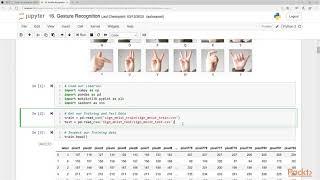 35   Gesture Recognition Using Sign Language MNIST
