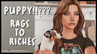 DOG MOM ERA | Rags to Riches | The Sims 4 Let's Play | 8