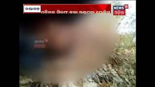 Nayagarh sex video viral case: Police arrest absconding accused | News18 Odia