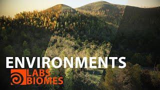 Epic Environments Made Easy | Using Biomes in Houdini