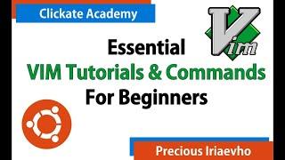 Essential VIM Commands with Cheatsheet - VIM Tutorials for Beginners (Updated)