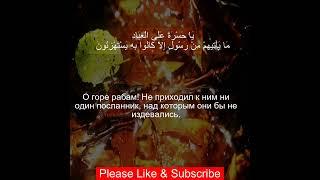 Коран Сура Ясин Yasin | 36:30 | Чтение Корана с русским переводом | Quran Translation in Russian