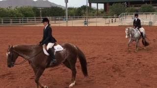 Katie Ramos & Scottish Reward Hunter Under Saddle Youth