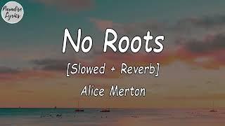 Alice Merton - No Roots [Slowed + Reverb] (Lyrics Video) (- a thousand times) (Tiktok Song)