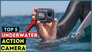 Top 5 Best Underwater Action Camera in 2024 for Snorkeling & Scuba Diving (Buying Guide)