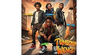 Tumeona Wengi  (feat. Mr Tee, Lil Maina, Fathermoh) official visualizer