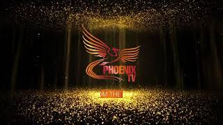 Phoenix TV Born from the ashes