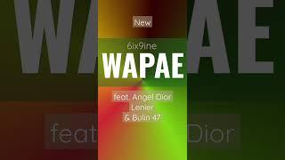 6ix9ine - WAPAE feat. feat. Angel Dior, Lenier, & Bulin 47 #shorts #newsong