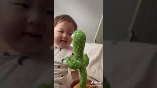 Talking Cactus Plush Toy TikTok: fun_toys_yiwu