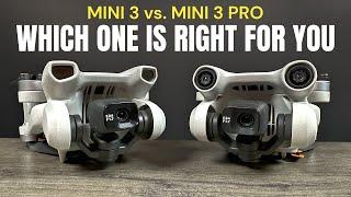 DJI Mini 3 vs. Mini 3 Pro - Which One Is Right For You