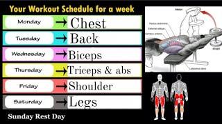 Full week gym workout plan | weekend muscle building workout plan #workout #youtube #exercises