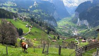 Wengen - Lauterbrunnen Switzerland 4K