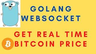 Golang Websocket: Get Real time Bitcoin price data using Websocket