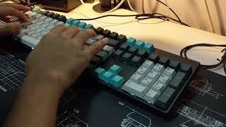 Hexgears GK705 Typing Demonstration (w/ stock ZealPC Zilents V2 67g)