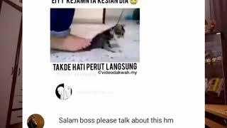 #HTVASIA Caprice mengulas video viral manusia yang tak berhati perut pijak kucing