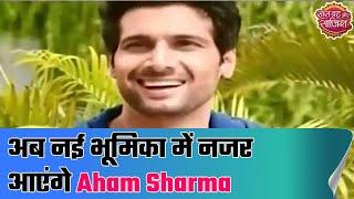 Aham Sharma to play male lead in Smita Thackeray’s new show on Dangal TV | Hot News