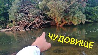 ИЗВАДИХМЕ ГИГАНСТКА РИБА с ЛАЙТ ВЪДИЦА - Пробвах нов МЕТОД за РИБОЛОВ ( BOLOGNESE FISHING on RIVER )