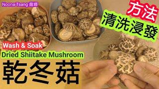 [ENG/中文] 洗冬菇|浸發冬菇|prepare wash soak Dried Mushroom|洗冬菇方法|賀年菜|團年|新年食品|如何處理冬菇|炆冬菇|爽諗彈牙|chewy|tender