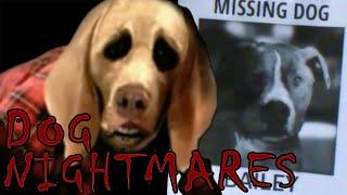 The Uncanny Terror Of Dog Nightmares: Analog Horror