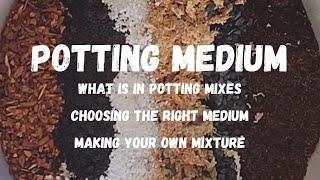 HOUSEPLANT 101 | Basics of potting soil. Which is best for your plant and how you can mix your own!