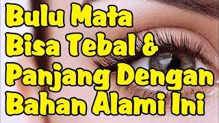 Bahan Alami Yang Bisa Menebalkan & Memanjangkan Bulu Mata