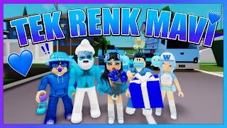 24 SAAT BOYUNCA TEK RENK MAVİ  ROBLOX BROOKHAVEN KÜBRA NİSA HAN KANAL