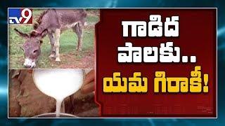 Donkey's milk costs a bomb! - TV9