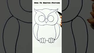 OWL Drawing  How To Draw Night Bird OWL Step By Step Easy Sketch Pen Drawing #short #creativeart