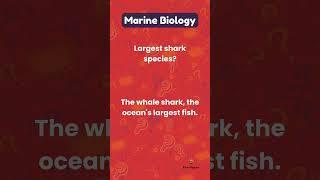 Marine Biology - Mind Blowing Fact #shorts