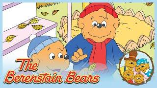 Berenstain Bears: Bears For All Seasons/ Grow It - Ep.39