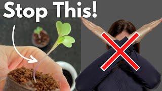 FIX LEGGY SEEDLINGS - Don't Start Over, Do THIS Instead!