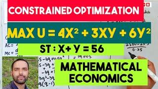 Constrained Optimisation using Lagrange's Multiplier. #langrage #Multiplier #GATE #NET #ECONOMICS