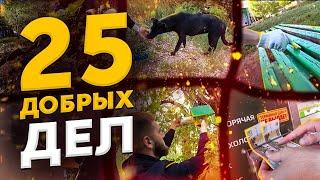 25 ДОБРЫХ ДЕЛ | ЧЕЛЛЕНДЖ ОТ ABRACADABRA TV | ПРОСЬБА СЛОВО ПАЦАНА