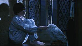 Harry Potter's first night at Hogwarts | Harry Potter and the Sorcerer's Stone