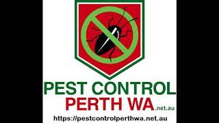 Pest Control Perth