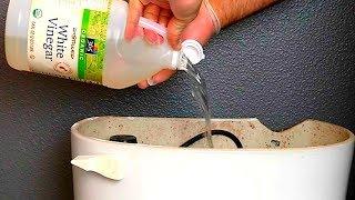 Put Vinegar Into a Toilet, and Watch What Happens