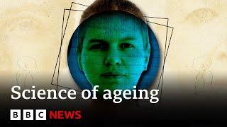 How to live longer, according to science - BBC News