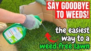 How to kill WEEDS in your LAWN the simple way