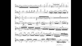 Tchaikovsky - Variations on a Rococo - S. Nakariakov flugelhorn