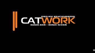 Catwork Remix Engineers - Insomnia